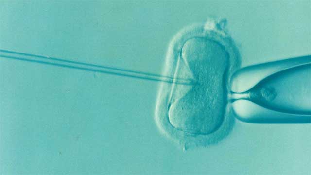 consejos para un nuevo embarazo tras haber tenido un aborto